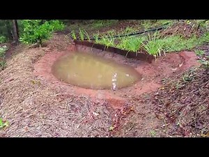 Permaculture Inspired Ponds & Swales 2