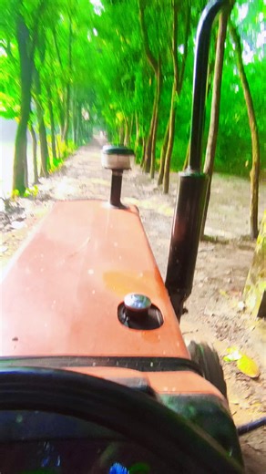 MdMd. Mahim (@mdmd..mahim)’s videos with original sound -  S O H A G  007