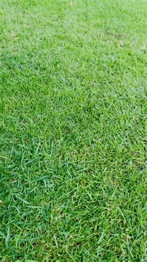 Grab any 2 for R180!! 😮‍💨🔥🔥Ke high fashion 🦍🔥#localbrand #fyppppppppppppppppppppppp #fyp #viralvideo