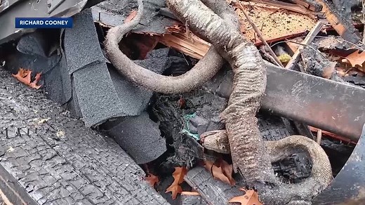 Man, 60 pet snakes die after fire sparks in cluttered home, wife, 2 adult children escape