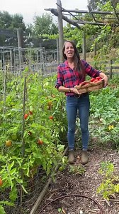 This passata recipe is so easy, and yes, I know it is not the...