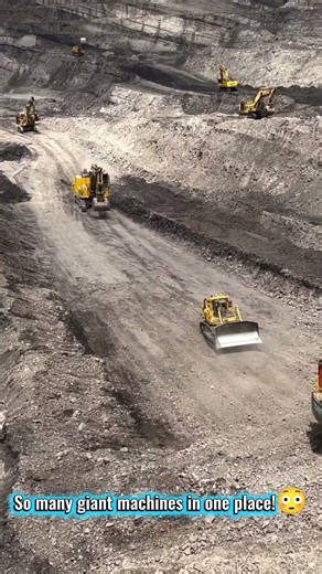 A Sea of Giant Excavators at the Coal Mining Front 😲 #heavyequipment #excavator #bigmachines