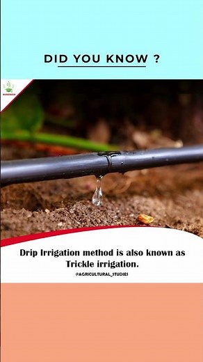 Trickle Irrigation | Micro Irrigation