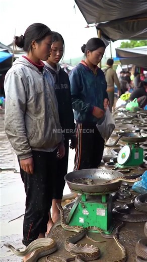 Unique Snake Market in Asia‪@muhammadarif-ai‬