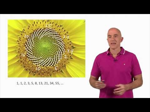 Fibonacci numbers in nature | Lecture 16 | Fibonacci Numbers and the Golden Ratio