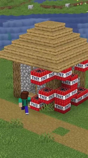 Pourquoi le Venezuela est le pays le plus dangereux de ce serveur Minecraft ? #minecraft