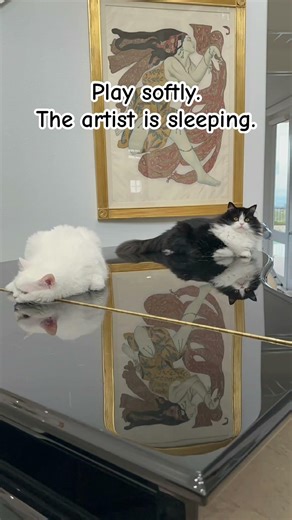 🐱😻🥰Grand piano. Grand naps. #cat #happycats #someoneyouloved #maluyaji