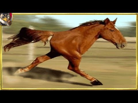 10 Horses Born Only Once in a Millennium