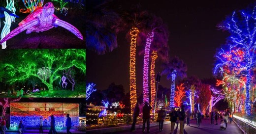 New experiences, illuminated lanterns coming to ZooLights at the Phoenix Zoo