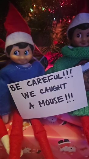 Silly snoop and those pesky elves caught a mouse🤣 #snoopdogg #elfontheshelf #christmas #elfonshelfideas