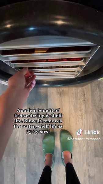 Benefits of Freeze Drying for Food Preservation