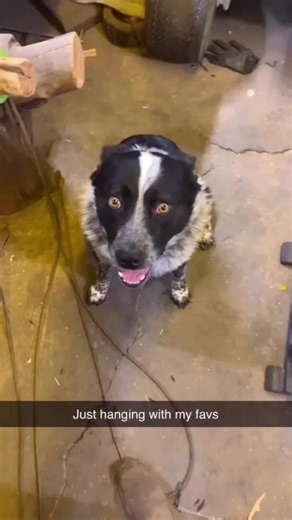 deadpoop.2024 (@deadpoop.2024)’s videos with original sound - deadpoop.2024