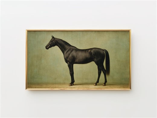 Vintage Horse Frame TV Art, Classic Equestrian Portrait Moody Wall Decor, Rustic Black Horse Digital Download, Antique Art 48 - Etsy