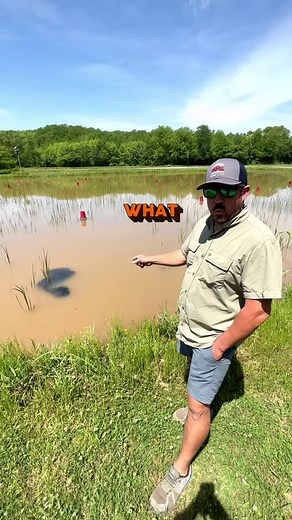 18M views · 10K reactions | Did anyone else see the baby crawfish jet by? 咽Thanks for all the helpful information about baby catfish in crawfish ponds yesterday folks! #crawfish #wildlife #louisiana #facts #animals #fish #marine | Louisiana Crawfish Company | Facebook