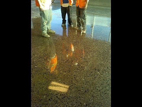 Polished Concrete Process