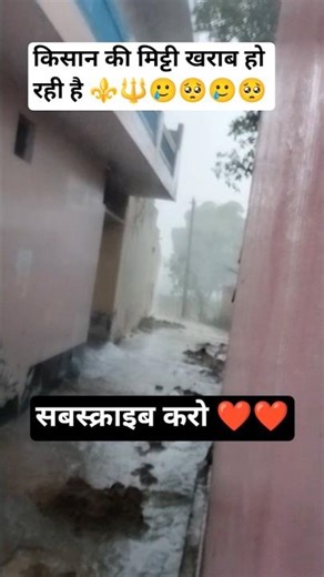 किसान हुई मिट्टी खराब बारिश के कारण #facts #update #viral #verifynow #अपलोड #motivation #verifyme