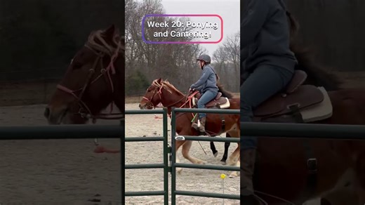 Elivia’s Mustang Project:Week 20 First time ponying and cantering with another horse!