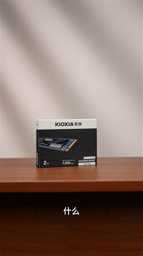 铠侠（Kioxia）2TB SSD固态硬盘 NVMe M.2接口 EXCERIA BASIC SF10 系列（PCIe 4.0 产品）