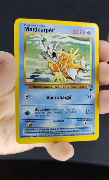 Ploukemon : La parodie hilarante des cartes Pokémon