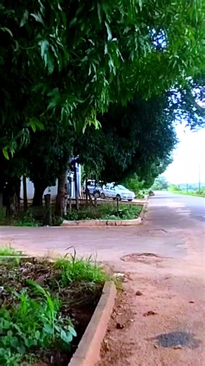 Moda Cigană: Muzica pentru Statusuri