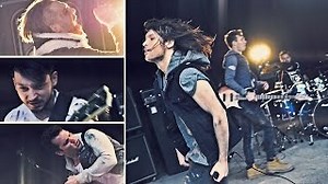 PREDATOR Lyrics - TRACY ATE A BUG | eLyrics.net