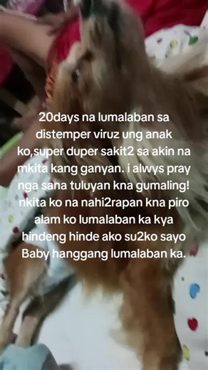 Understanding Canine Distemper Symptoms and Treatment