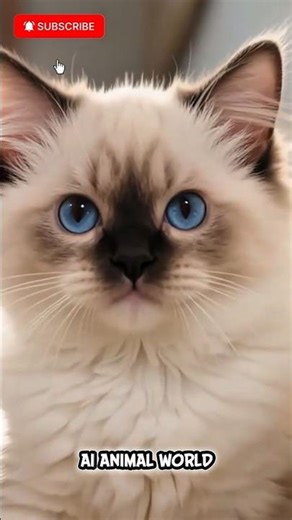 The Saddest Cat You’ll Ever See #cat #sadcat #viralcats