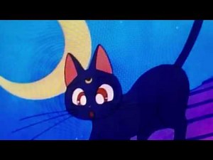 Sailor Moon "I'm a total Fatso" 😂