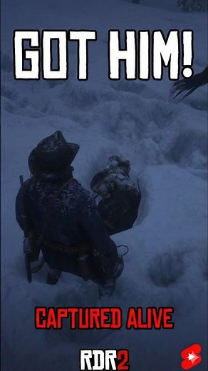The PERFECT Lasso Catch in RDR2 🎯🤠 #gamingisamazing #rdr2 #short