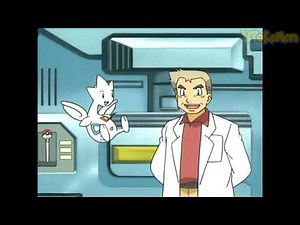 Togetic attacks Professor Oak | Professor Oak Funny Moments