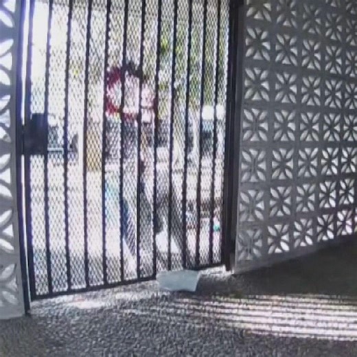 250,000 packages stolen a day, study finds, amid push for stiffer penalties