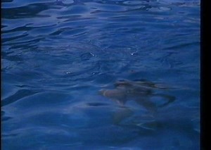 Chapter Two (1979) Trailer