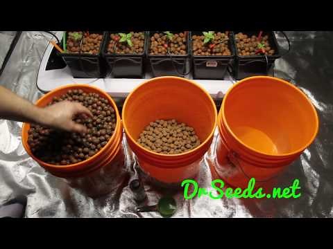 PREPARING LECA (LIGHT EXPANDED CLAY AGGREGATE) FOR HYDROPONICS