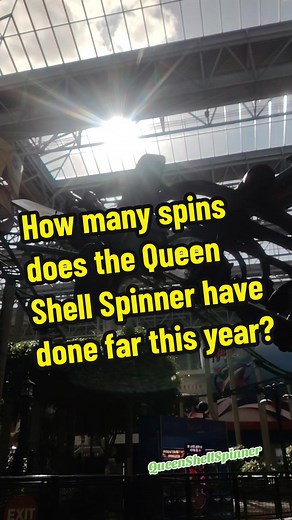 Tara - Queen Shell Spinner on TikTok