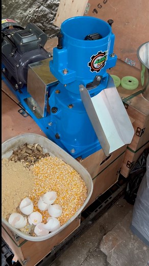 Tara na't maging master ng sarili mong feeds! Sa Pelletizer machine, ikaw ang bahala sa formula. Walang limit sa pwedeng gawin. Masustansya, mura, at sigurado ka pa sa kalidad! #agropinoytv #animalfeedpelletmachine #FarmSolutions | Agro Pinoy Tv