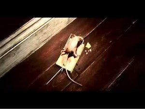 Die Maus in der Falle