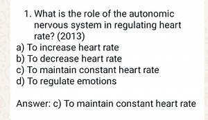 What is the role of the autonomic nervous system in regulating ... | Filo