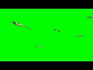 Beautiful Mermaids Animation Swimming Green Screen