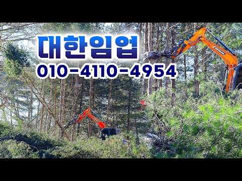 대한임업 #벌목 #산판 #임목매매 #원목판매 #화목판매 #장작판매 #낙엽송 #소나무 #활엽수 #벌목업체 #임목매입 #주택부지개발 #공장부지조성 #개발지벌목 #벌목대행 #전국벌목
