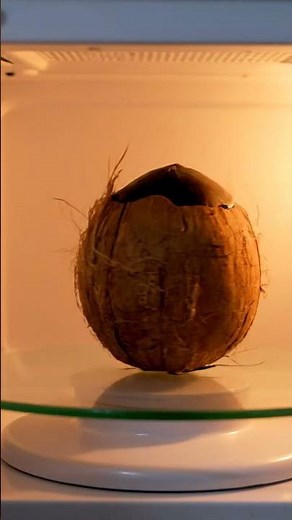 Microwave Experiment with Coconut – Insane Reaction!