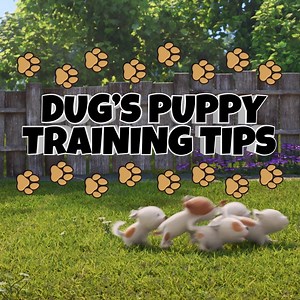 189K views · 1.3K reactions | Listen up!  Dug has some training tips to get these puppies in line.  All episodes of Disney and Pixar’s #DugDays are now streaming on #DisneyPlus. | Disney+ | Facebook