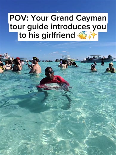 POV: Your Grand Cayman tour guide introduces you to his girlfriend 🐠✨ #POV #CaymanIslands #StingrayCity #IslandLife #CaribbeanVibes
