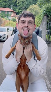 Cat Macarena | SenSej Cat