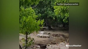 4K views · 44 reactions | Storm surge churned by Hurricane Delta causes water to encroach on the shores of the Cayman Islands yesterday. https://bit.ly/3noChcN | AccuWeather | Facebook