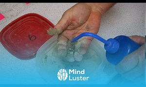 Mind Luster - Learn CEEN 341 Lab 11 Visual Classification of Soil