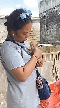 Tiny Kitten Discovered Among Discarded Waste Finds a Rare Chance to Live Again through Kindness