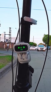 22K views · 203 reactions | Cycling with #AIBI for a fun workout ride! ‍♂️ #aibipet #aibirobot #aibipocket #livingai #aibipocketpet | AIBI Pocket Pet | Facebook