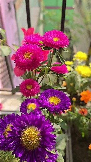 Meaning of some essential Arabic words.