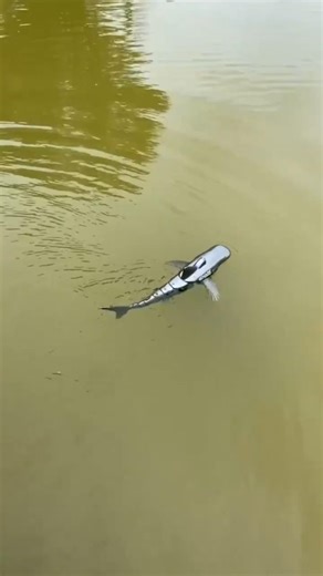 😱 Top 3 FUTURISTIC Gadgets in the World | Next-Gen Tech 🔥#shorts #futuregedgets