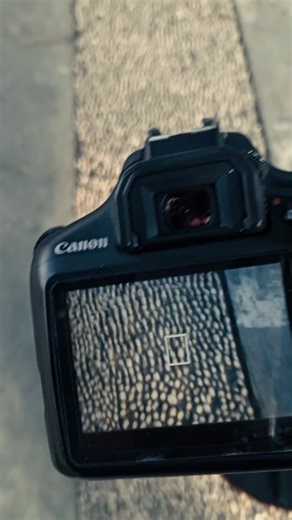 Canon 1300D: Apa Saja Kemampuannya dalam Fotografi?